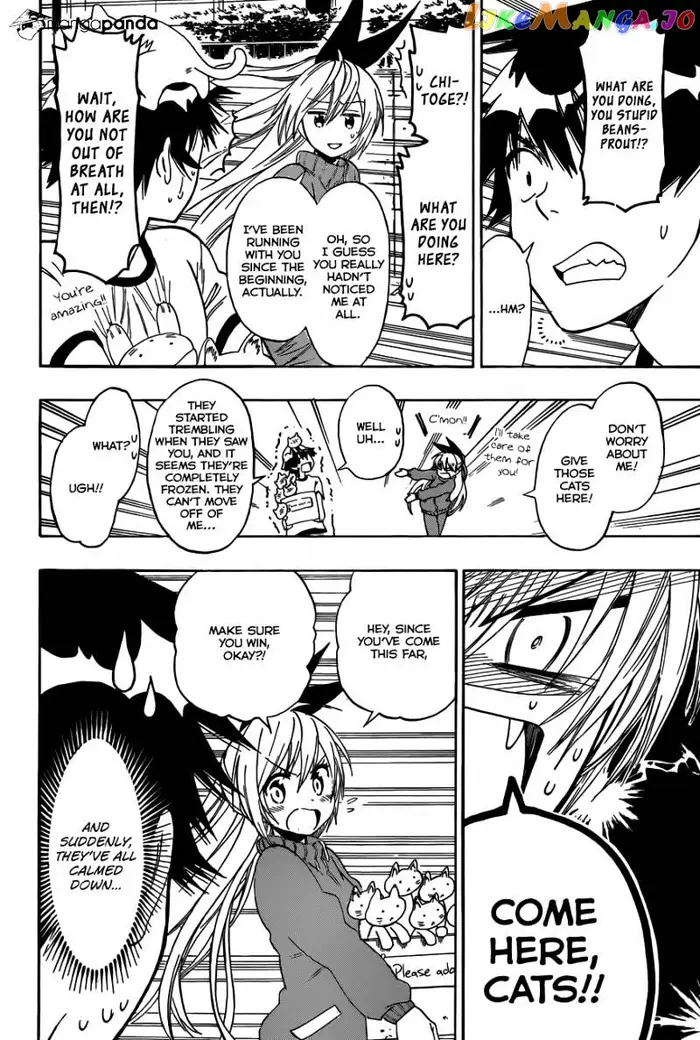 Nisekoi Chapter 73 image 11_optimized